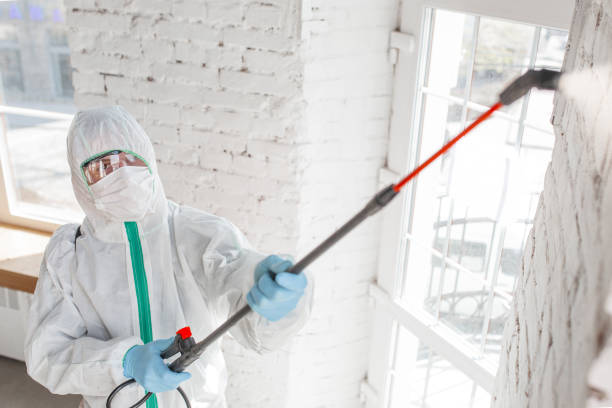 Best Mold Removal for HVAC Installations  in Susquehanna Trails, PA