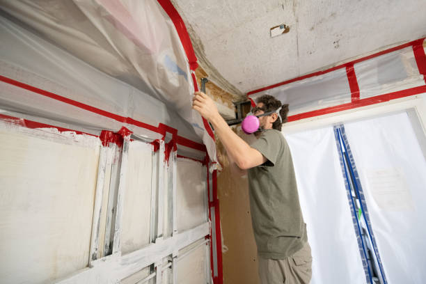 Best HVAC Mold Inspection and Cleaning  in Susquehanna Trails, PA