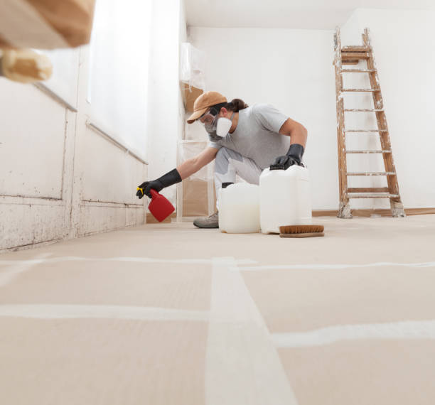 Best Mold Odor Removal Services  in Susquehanna Trails, PA