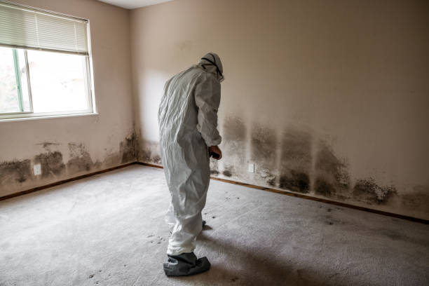 Mold Remediation for Vacation Homes in Susquehanna Trails, PA